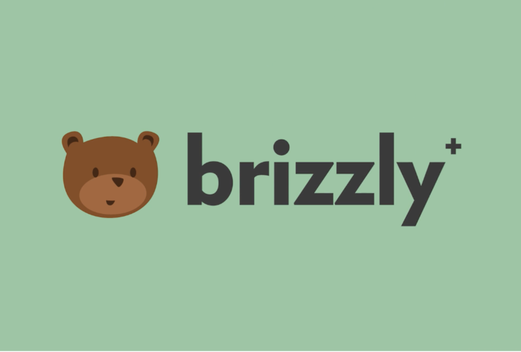 Brizzly+, Client Twitter Yang Bisa Undo dan Redo