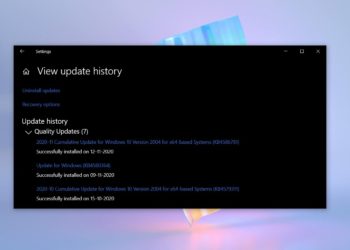 Windows 10 Alami Gagal Instalasi Update KB4586781