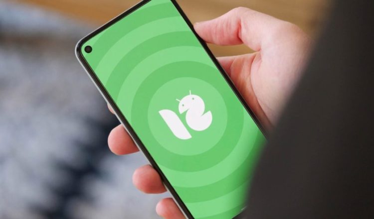 Google Umumkan Android 12 Dalam Ajang I/O