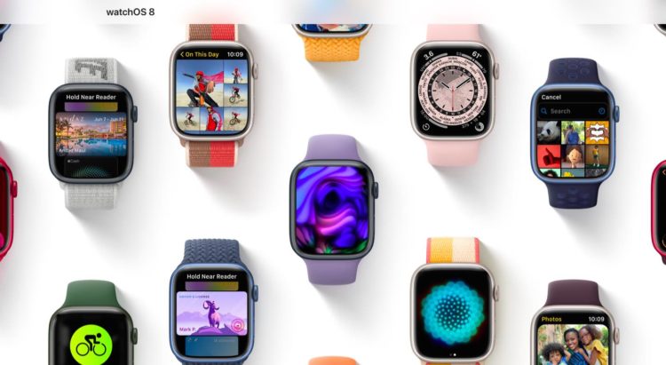 watchos 8.4