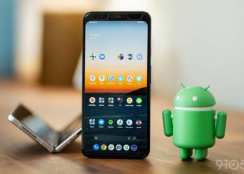 Android 13 Dinamakan "Tiramisu"