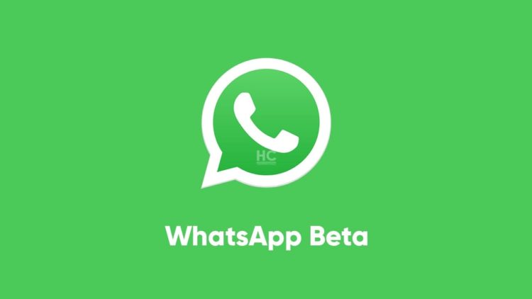 WhatsApp Beta Menawarkan Companion Device dan Quick Reaction