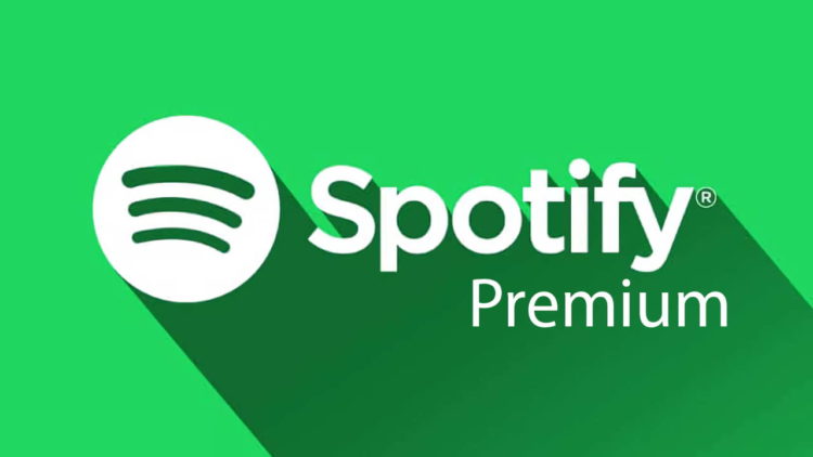Cara Download Lagu di Spotify Premium (Android dan iOS)
