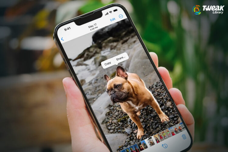 Cara Menghapus Background Foto di iOS 16