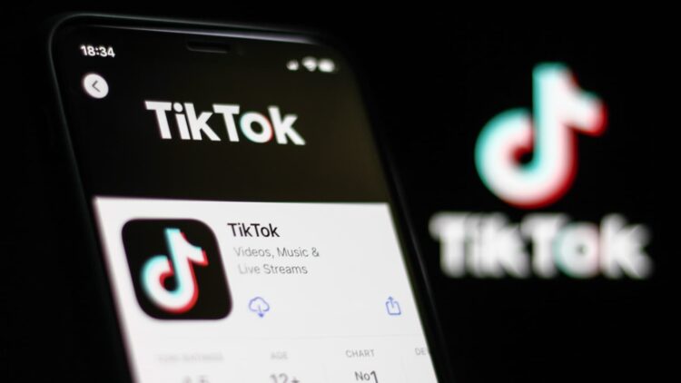 notifikasi tiktok