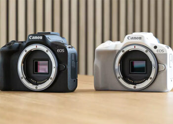 Canon EOS R50 vs EOS M50 Mark II