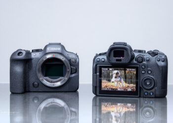 Canon EOS R8 vs R6 Mark II