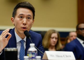 Prancis Blokir TikTok di Smartphone Pemerintah