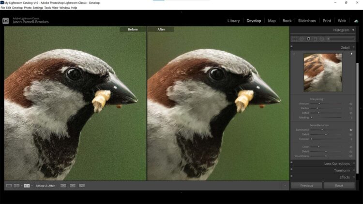 Fitur Denoise AI Lightroom Bisa Bikin Foto Jadul Terlihat Baru!