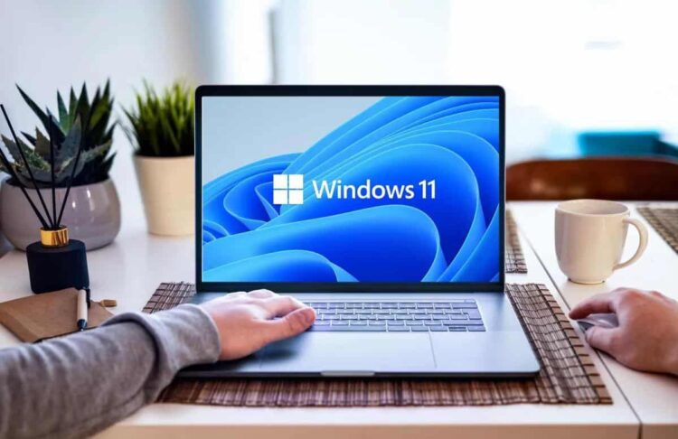 Cara Cek Upgrade Windows 11 di PC dan Laptop