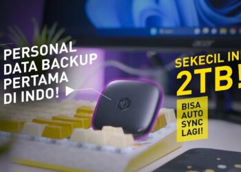 Review Synology BeeDrive