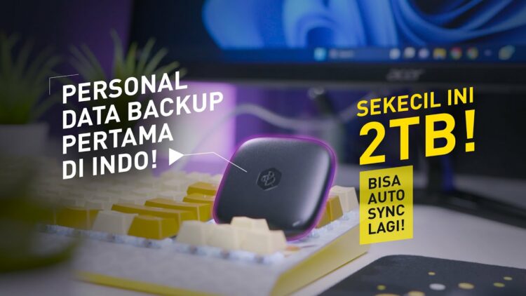 Review Synology BeeDrive