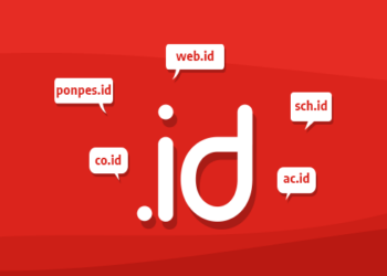 domain id
