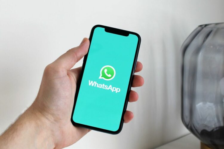 backup data whatsapp