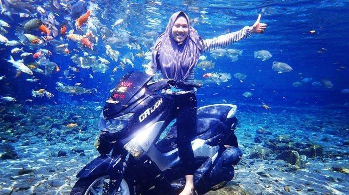 fotografi bawah air