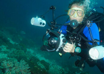 apa itu underwater photography