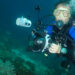 apa itu underwater photography