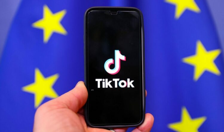 TikTok Election Center EU