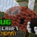 bug Minecraft