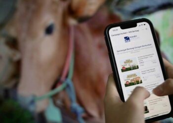 aplikasi qurban online