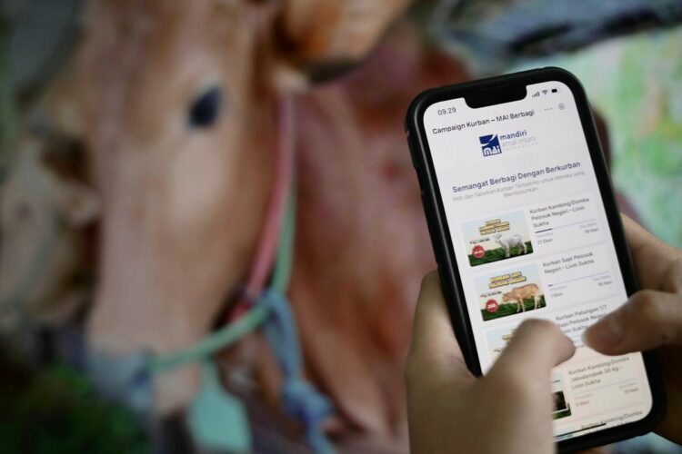 aplikasi qurban online