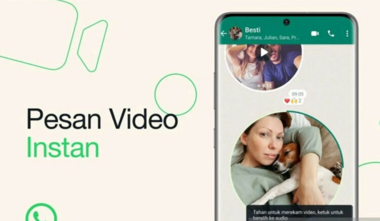 Video Note WhatsApp