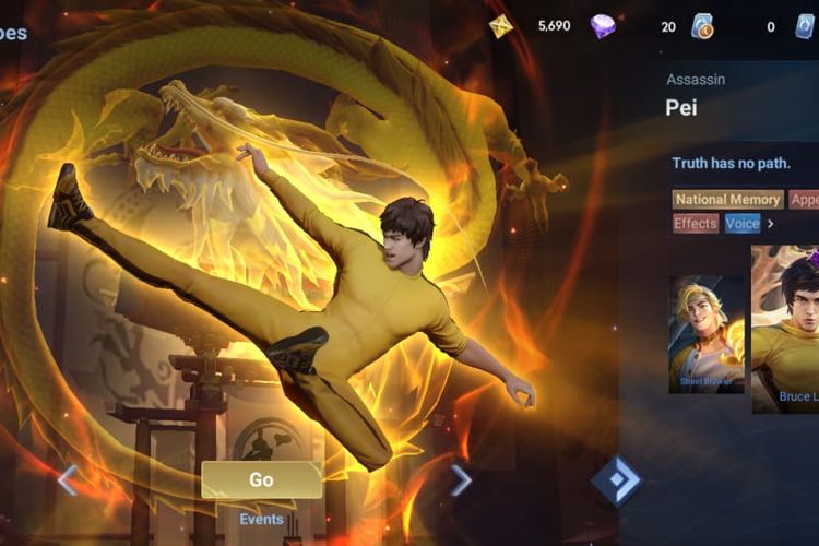 skin Bruce Lee
