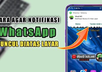 notifikasi WhatsApp