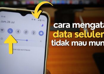 data seluler