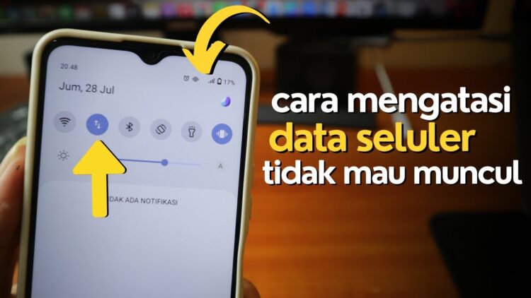 data seluler