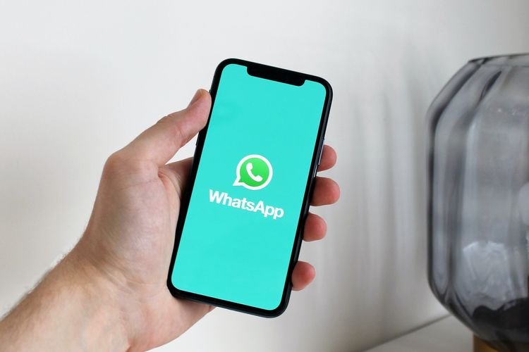 video panjang di WhatsApp
