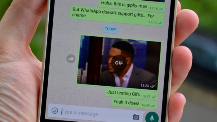 GIF video di WhatsApp
