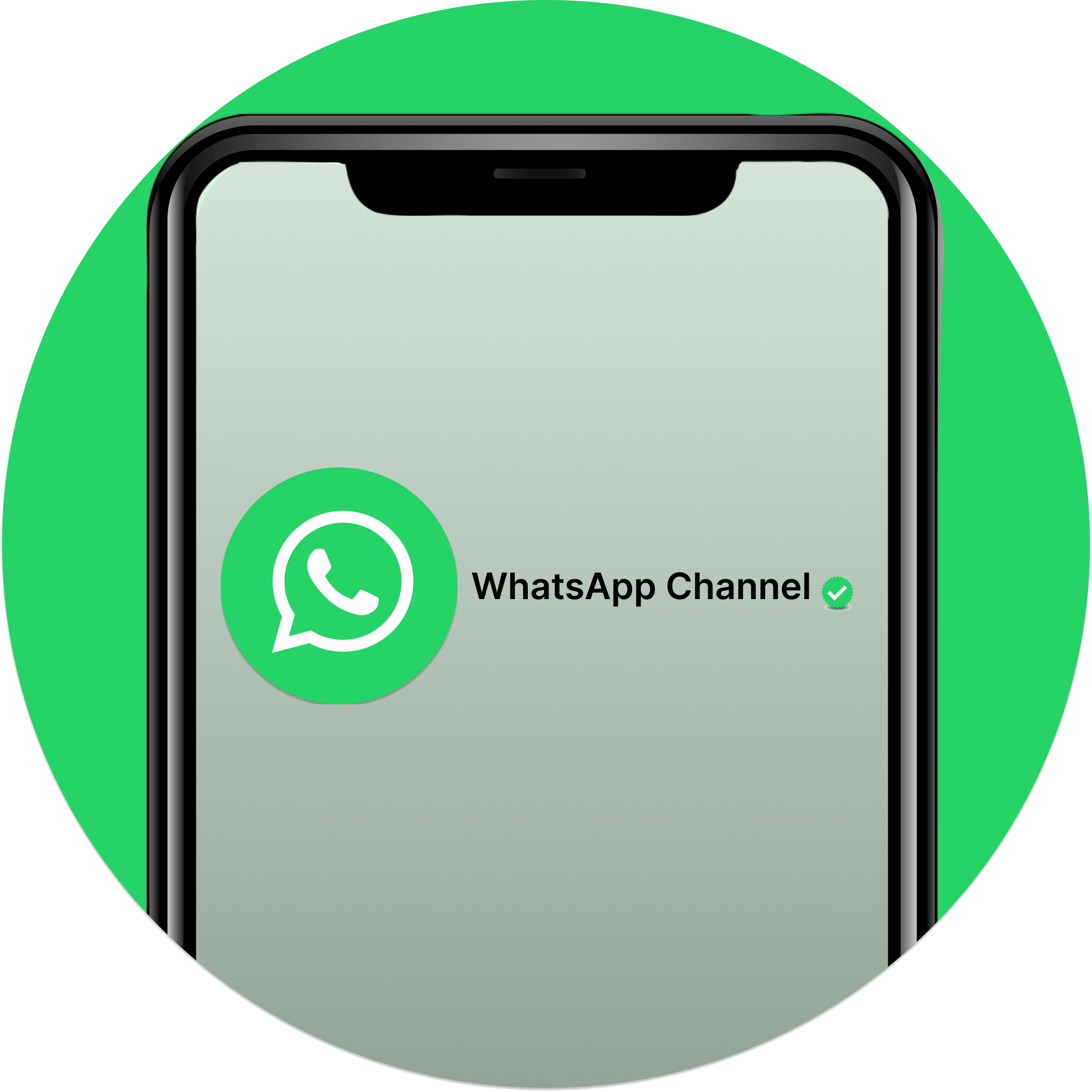 channel WhatsApp