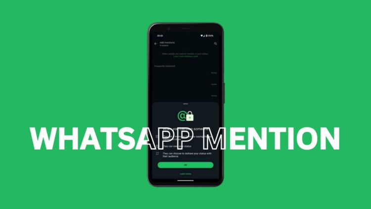 mention di WhatsApp Status