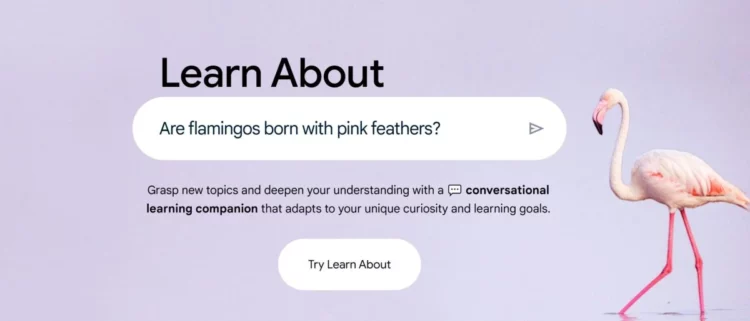 AI Google Terbaru, Learn About
