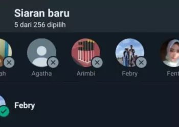 Kirim Pesan WhatsApp