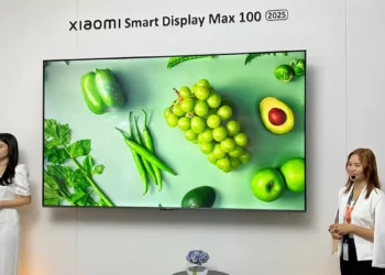 Smart Display Max 100