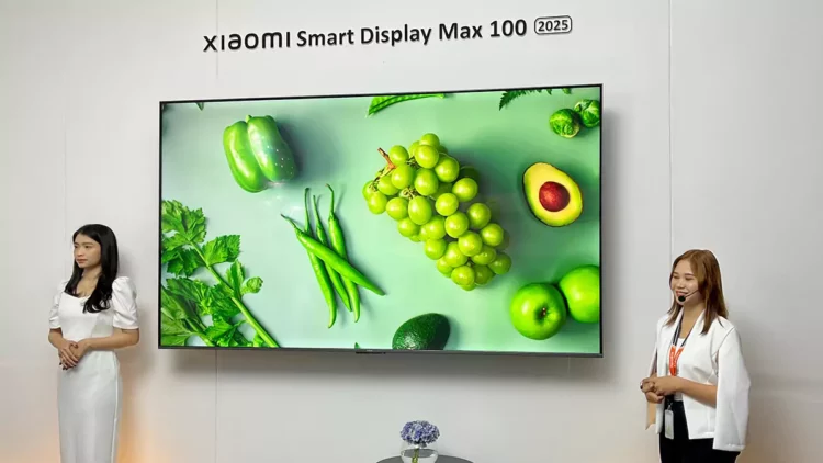 Smart Display Max 100