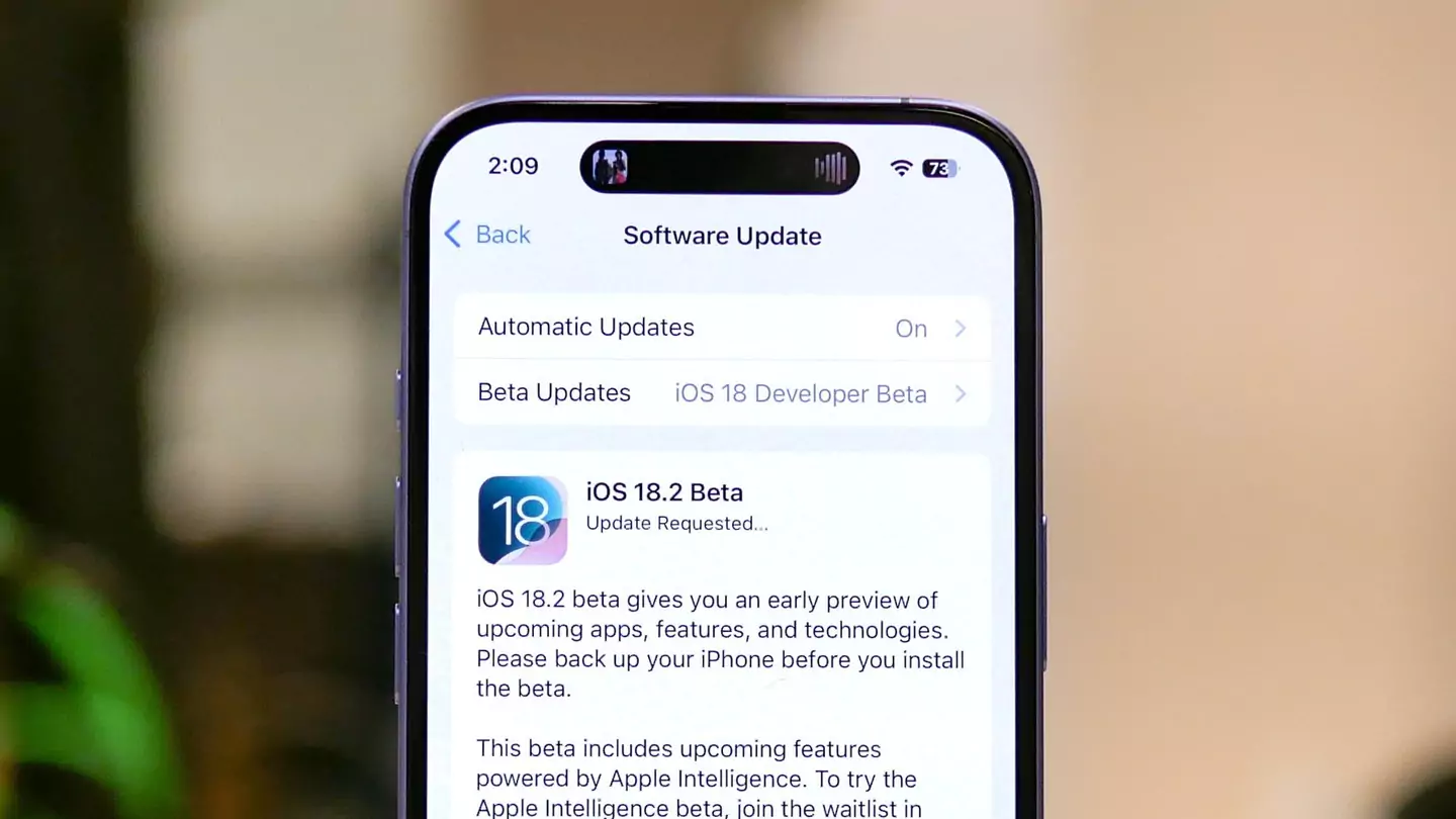 iOS 18.2