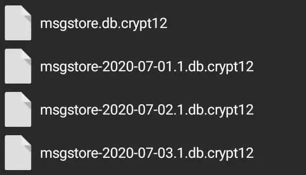 file Msgstore di WhatsApp