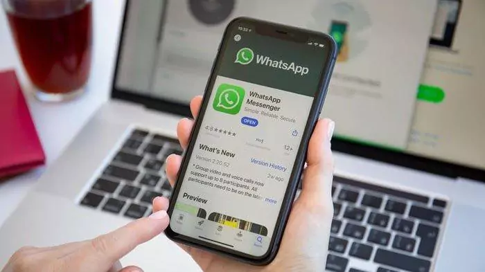 File Media di WhatsApp