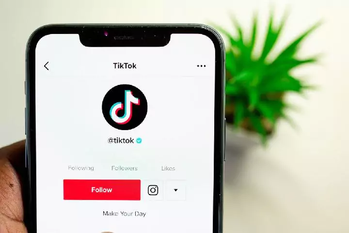 follback di TikTok