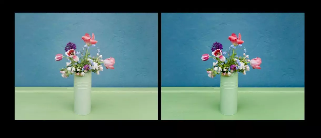 SpectraVision Camera