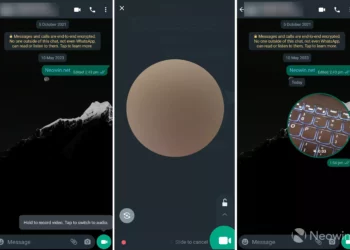 video pendek di WhatsApp
