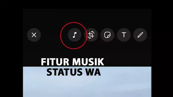 musik di status WA