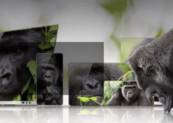 Gorilla Glass Ceramic 2