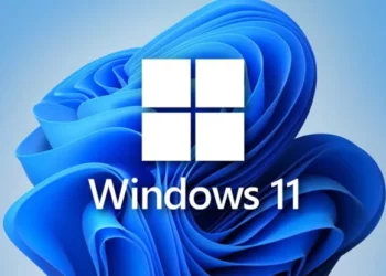 Windows 11