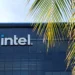 Logo Intel di fasad bangunan berwana biru gelap, dilihat dari balik daun pohon palem yang terang.