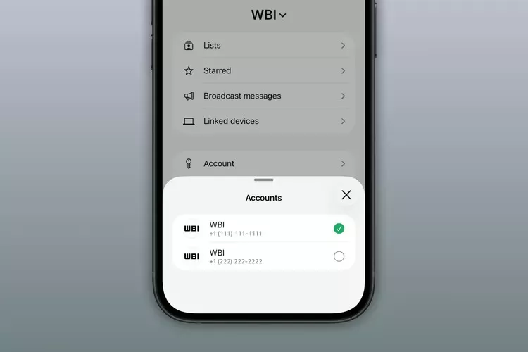 Tampilan antarmuka menu pengaturan multi-account dan privasi di aplikasi WhatsApp pada layar smartphone.