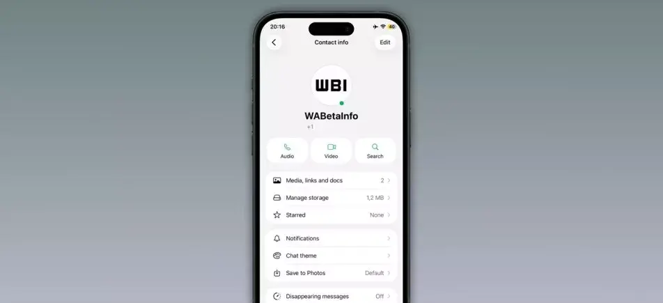 Uji coba tampilan indikator titik hijau pada info kontak WhatsApp versi iOS terbaru.